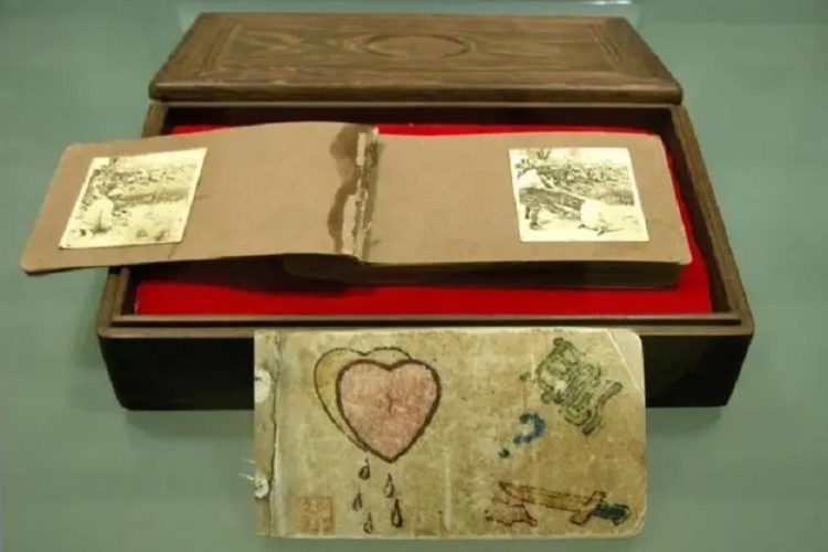 这本相册缘何成为“京字第一号证据”