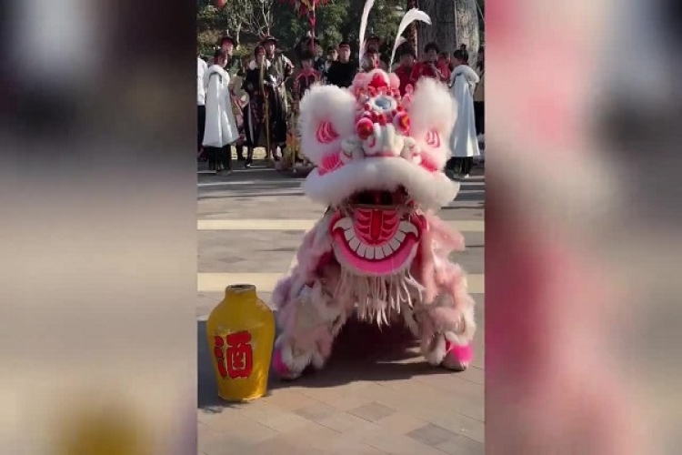 惟妙惟肖 女生表演“醉狮”有多灵动