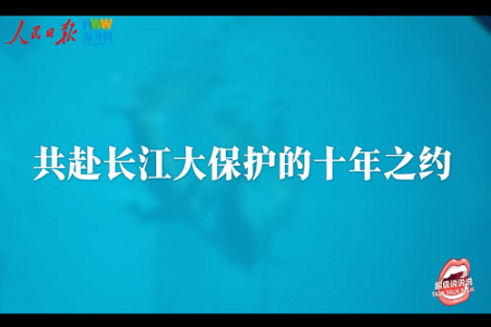 共赴长江大保护的十年之约