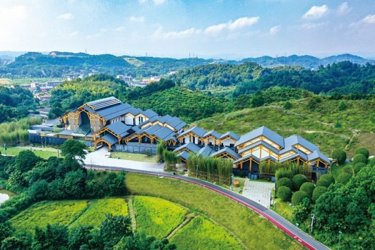 探访清溪村——看文学如何点亮“新山乡巨变”