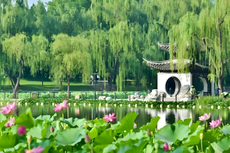 荷塘寺