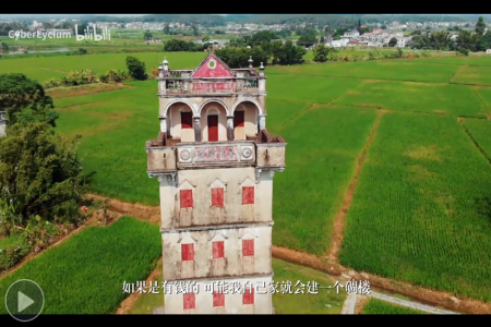 “阿正：江门赤坎 稻田里的离别与归途