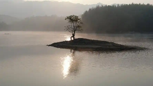 岛