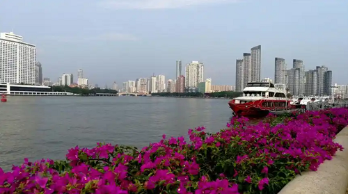 白鹅潭畔