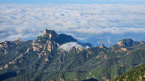 神往泰山