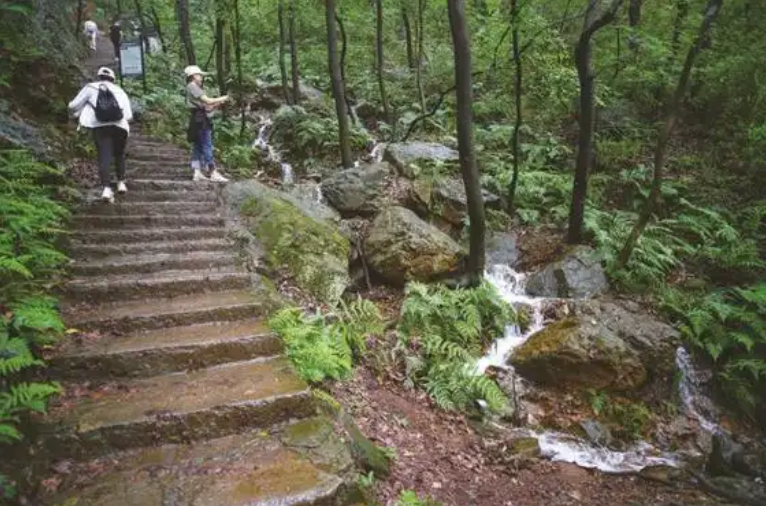 雪后登山