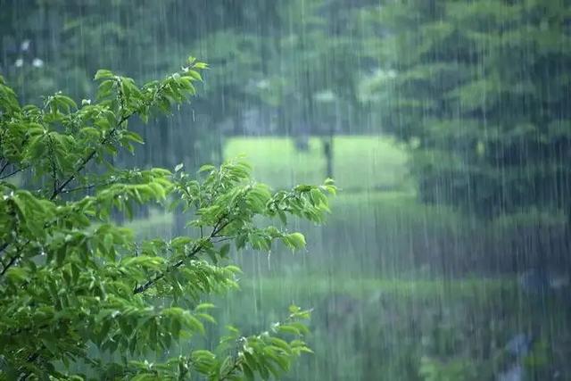 4（2）细雨