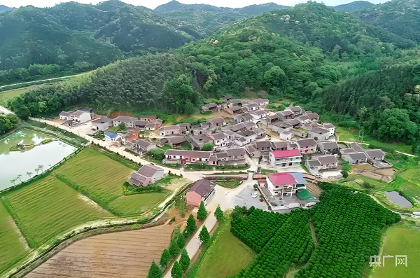 5（1）时光轻拨符竹村