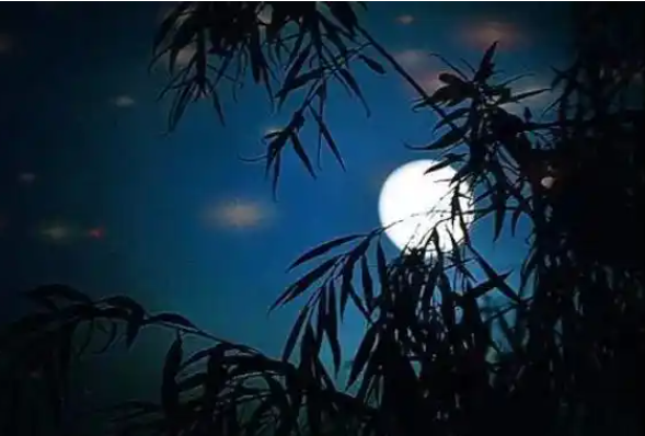 4【4】夜的风