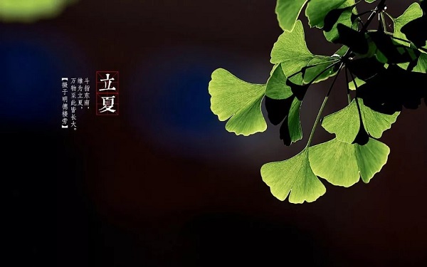 2【2】诗词里的初夏