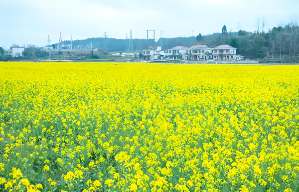 5【1】花器