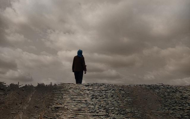 4【2】我的老母亲