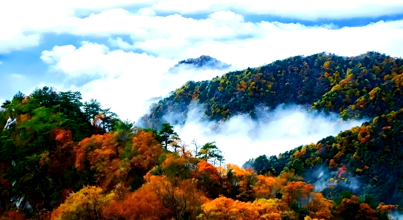 5【3】大别山秋色