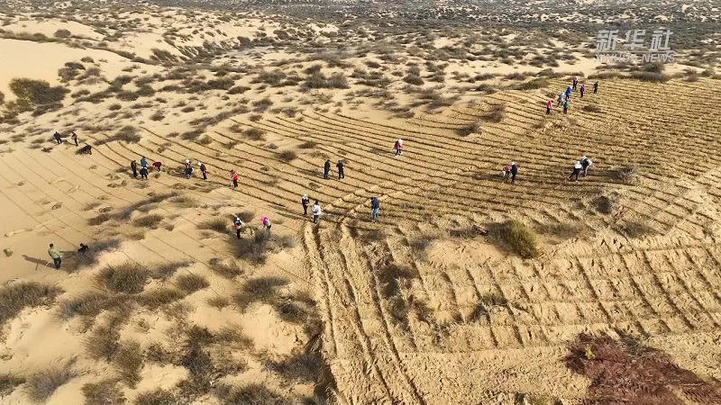 7【2】三十里明沙二十里水 7【2】三十里明沙二十里水