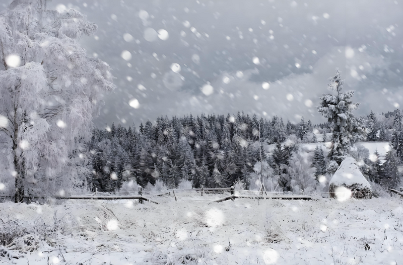 5【4】飞雪茫茫 5【4】飞雪茫茫