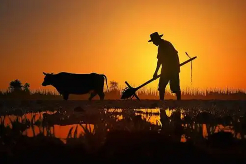 7【4】老余的地