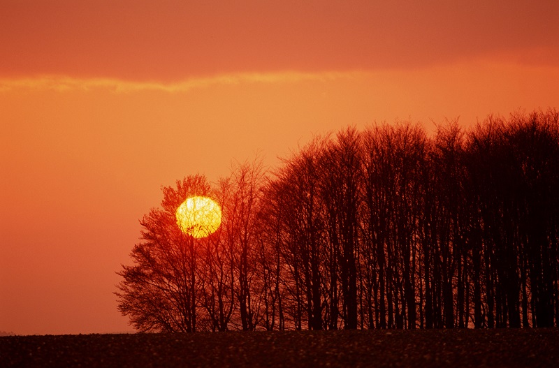 4【4】我在秋风里醉成了夕阳 4【4】我在秋风里醉成了夕阳