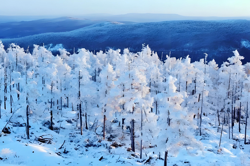 5【2】雪无止境