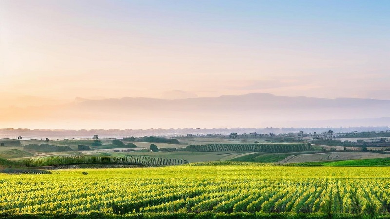 4【1】肖家垸记事