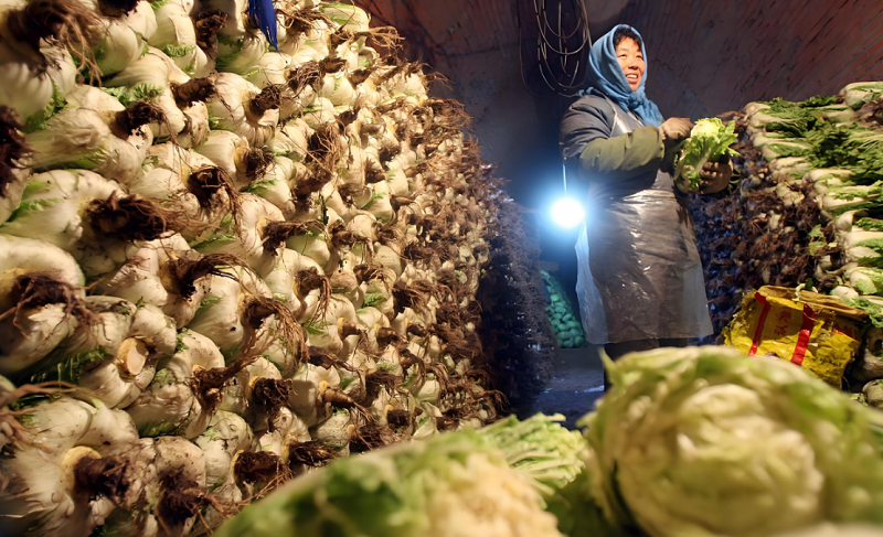 5【3】你家白菜是几级? 5【3】你家白菜是几级?