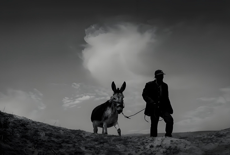 7【3】玉碎 7【3】玉碎