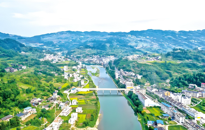 5【2】寻找鲤鱼塘