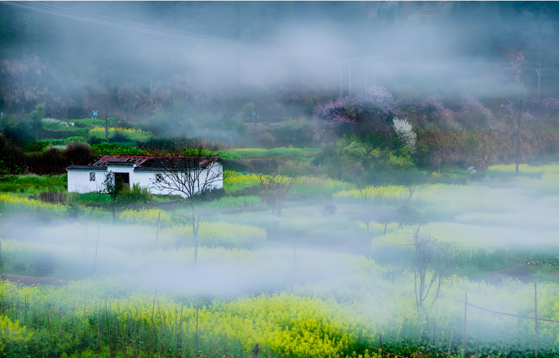 4【2】在这风中