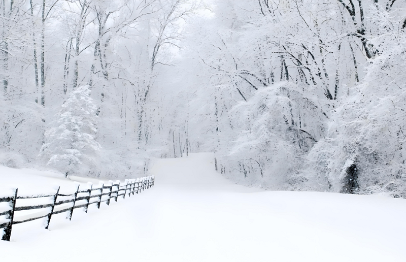 4【3】雪那么白
