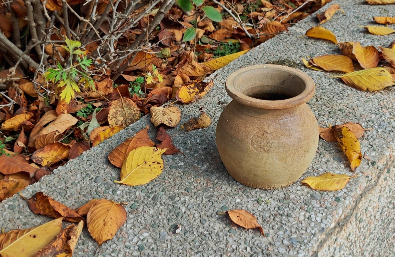 4【2】陶罐的温暖使它不再关心陶罐之外的事物