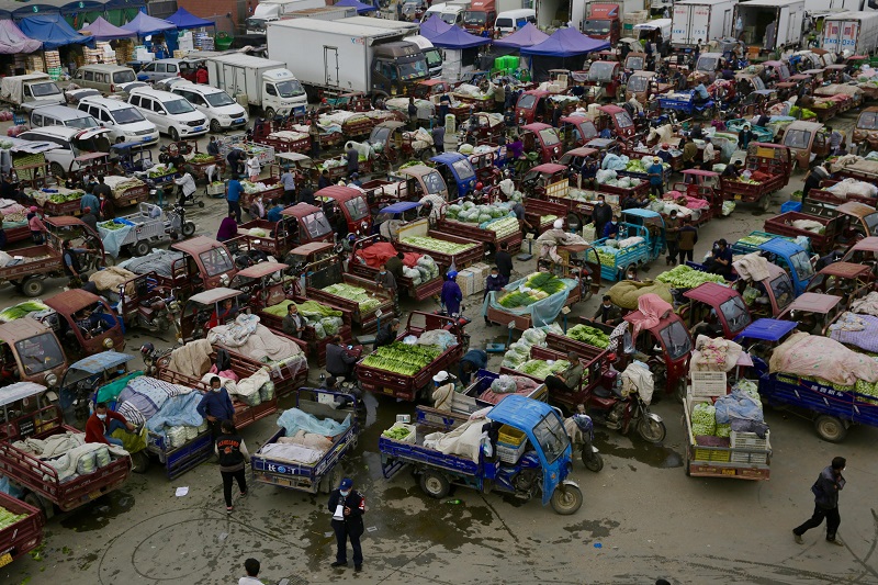 5【1】提篮新发地