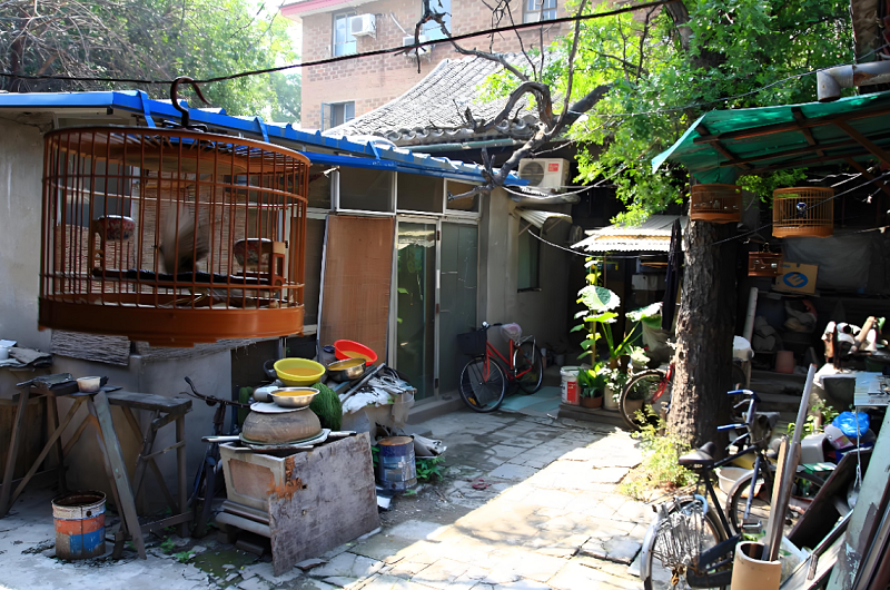 5【3】大杂院的租客