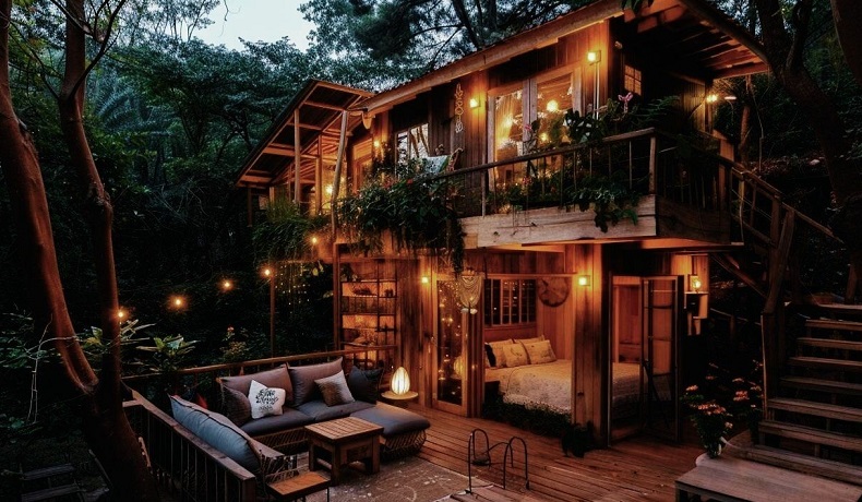 7【2】森林与路 7【2】森林与路