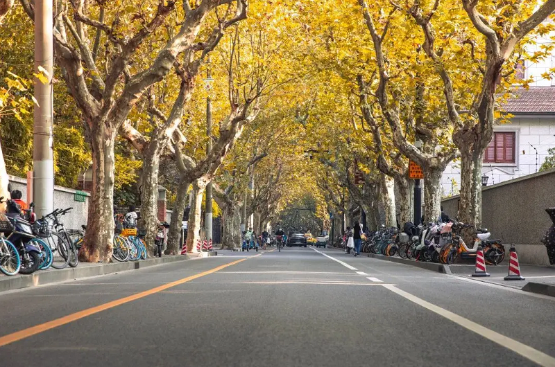 7【4】旦 7【4】旦