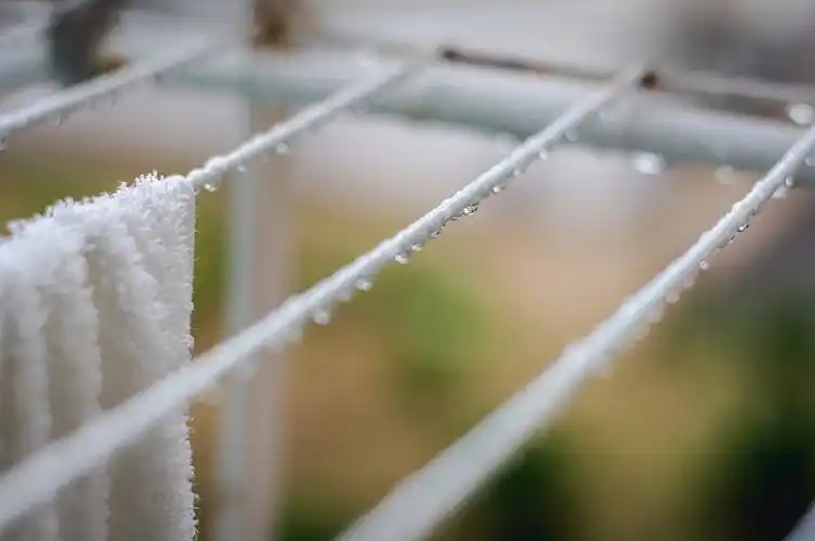 5【2】晾衣绳上的露珠