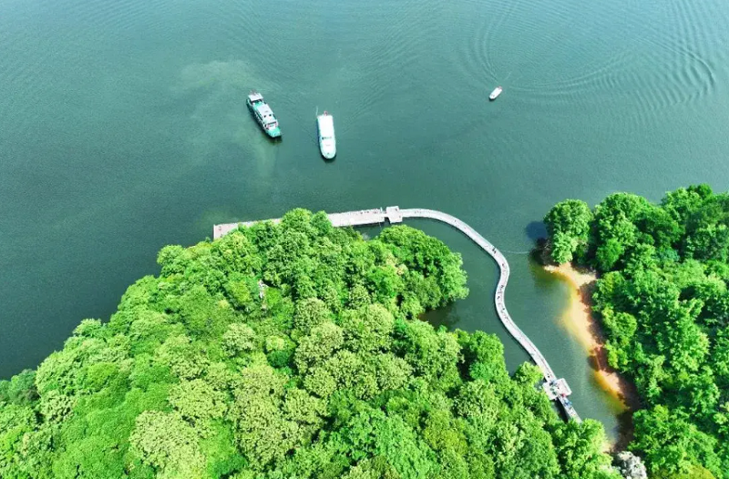 5【4】赣西那一片磅礴的绿海