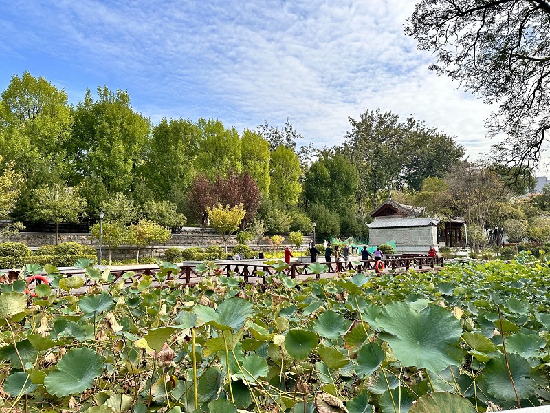 7【4】去大柳塔 7【4】去大柳塔