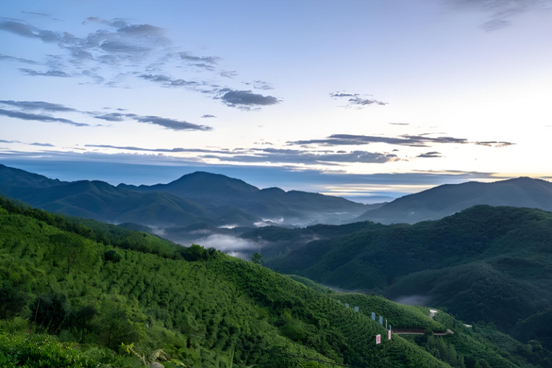 4【4】空山辩词