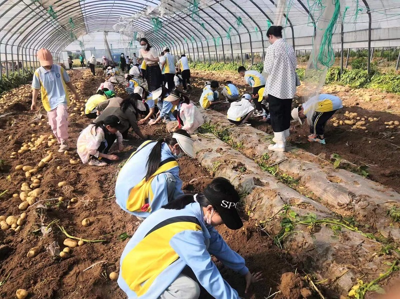 5【1】泥土里的勋章